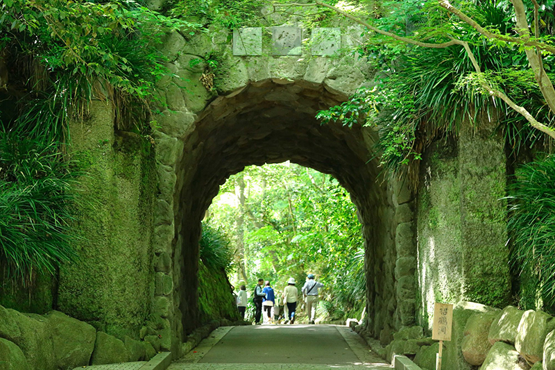 Portfolio Image