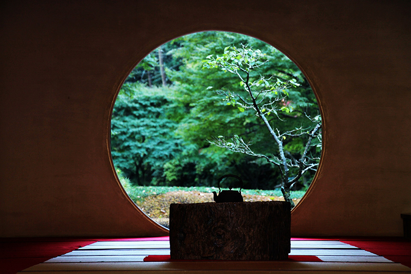 Portfolio Image