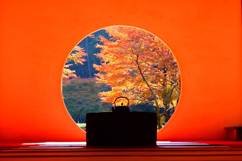 Portfolio Image